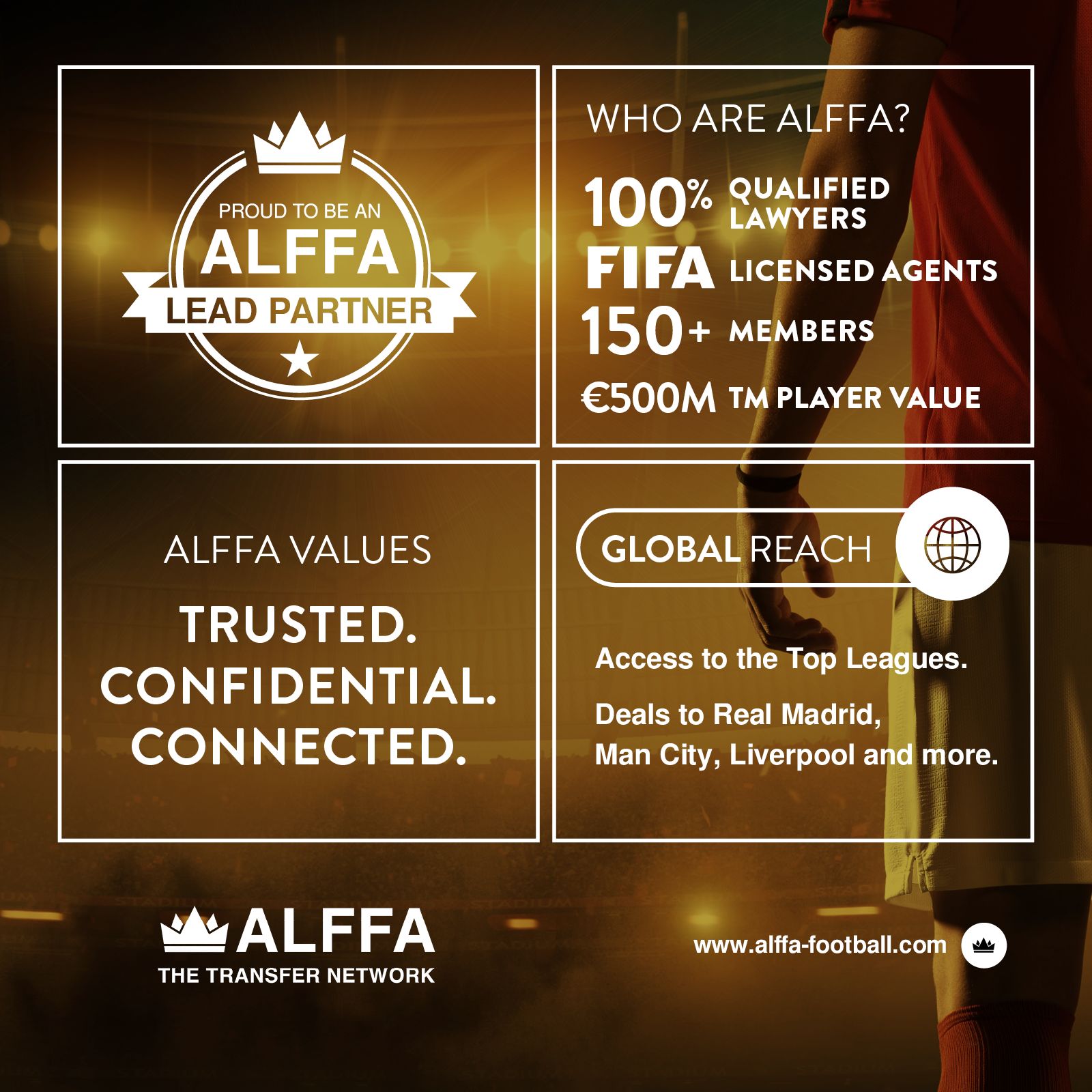 ALFFA Lead Partner